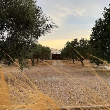 Holiday home Quinta Da Alfarrobeira Peaceful Countryside Faro