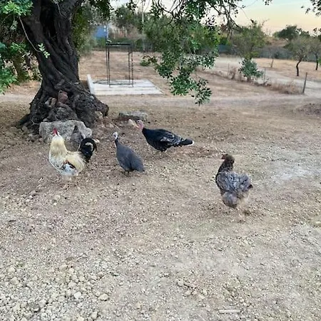 Quinta Da Alfarrobeira Peaceful Countryside *