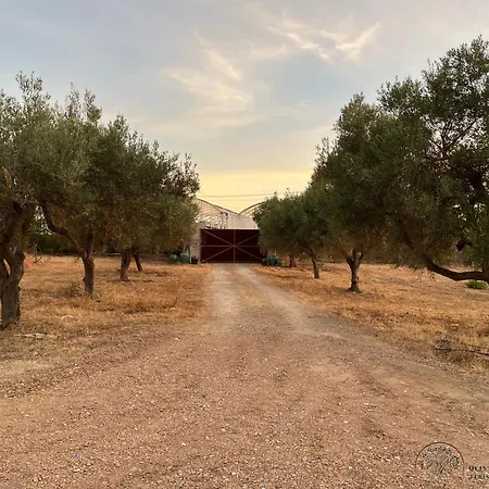 Quinta Da Alfarrobeira Peaceful Countryside Дом отдыха