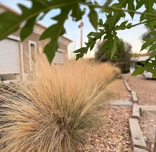 Vakantiehuis Quinta Da Alfarrobeira Peaceful Countryside