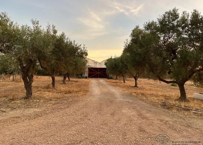 Quinta Da Alfarrobeira Peaceful Countryside Casa vacanze